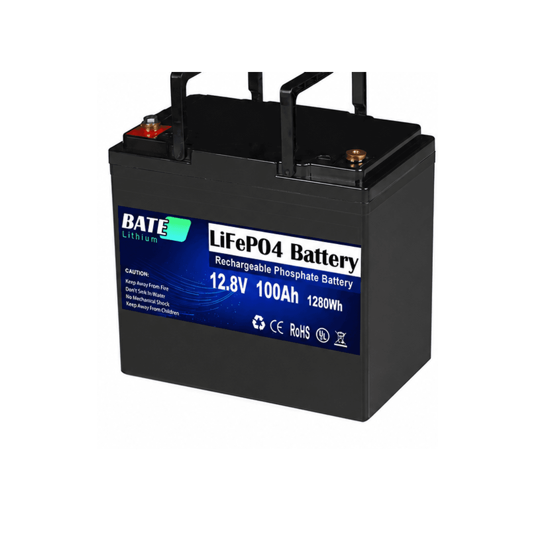 Batterie LiFePO4 12,8V 100Ah - 1